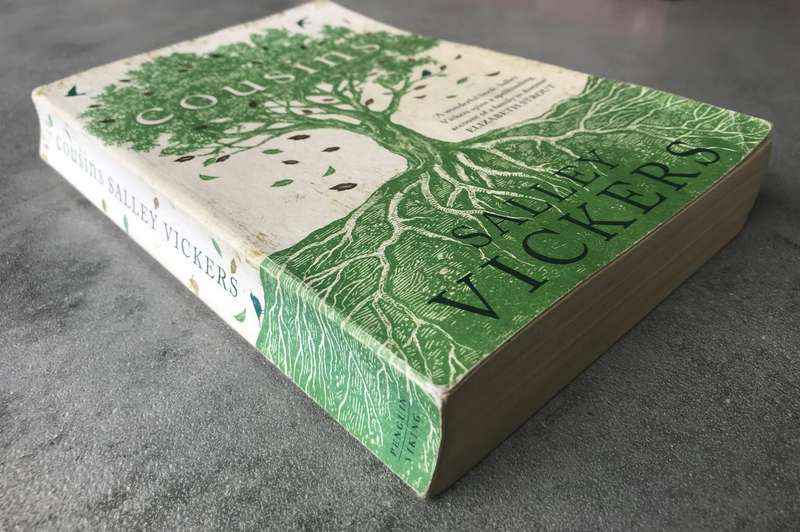 Cousins by Salley Vickers [Large Paperback: Average]