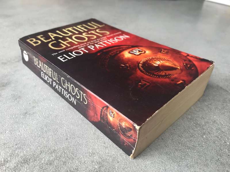 Beautiful Ghosts (Inspector Shan #4) by Eliot Pattison [Paperback: Good]