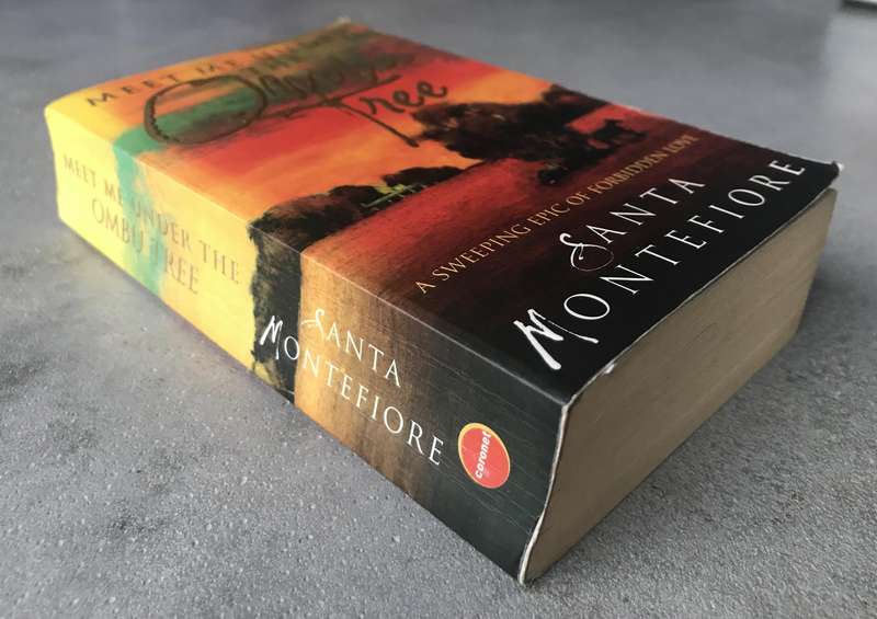 Meet Me Under the Ombu Tree by Santa Montefiore [Paperback: Average]