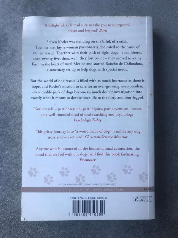 A Small Furry Hope by Steven Kotler [Paperback: Average]