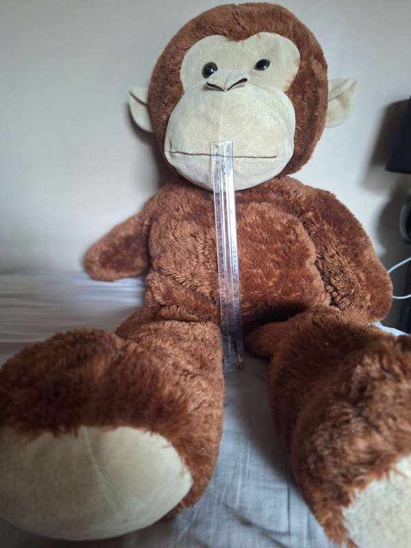Large Monkey