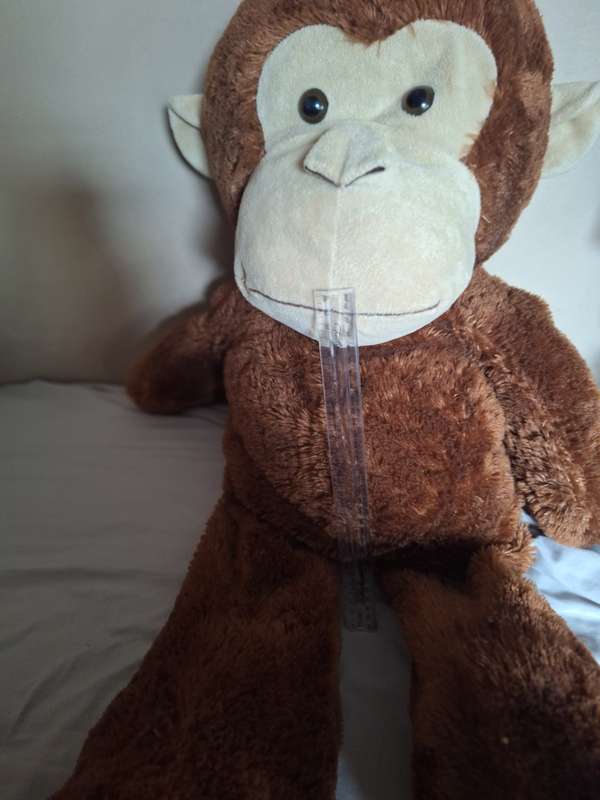 Large Monkey