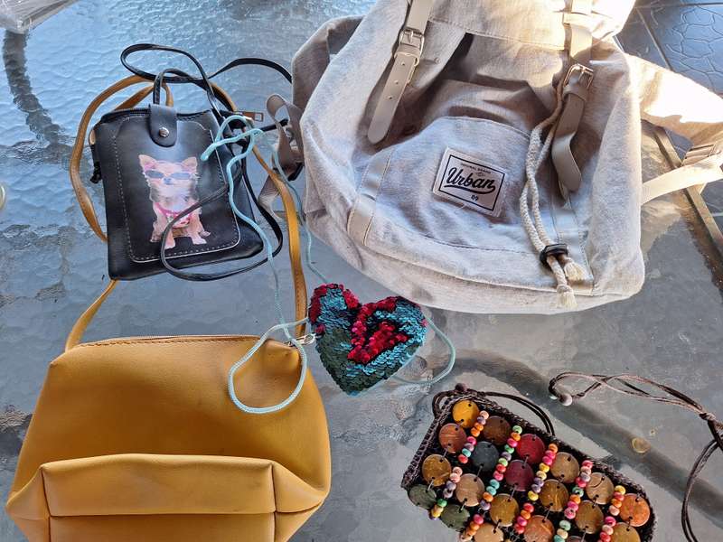 Handbag Combo