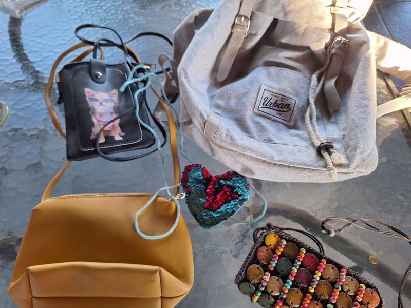 Handbag Combo