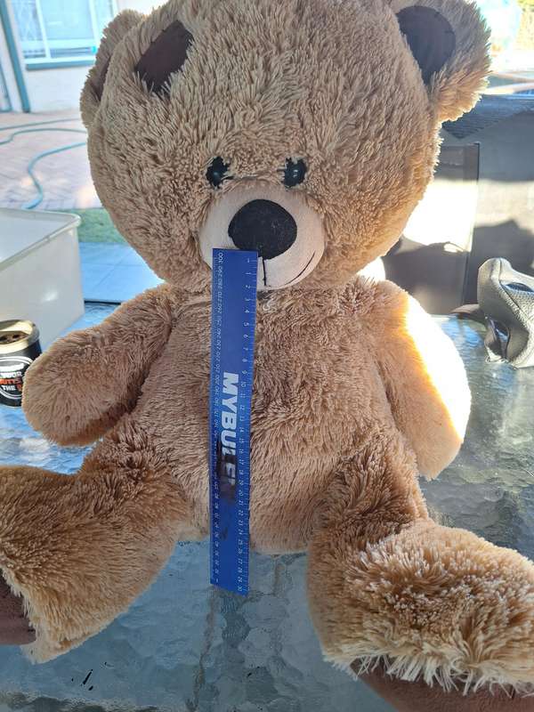 Large Teddy Bear