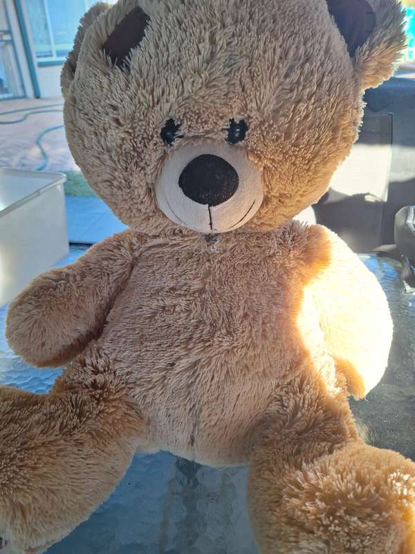 Large Teddy Bear