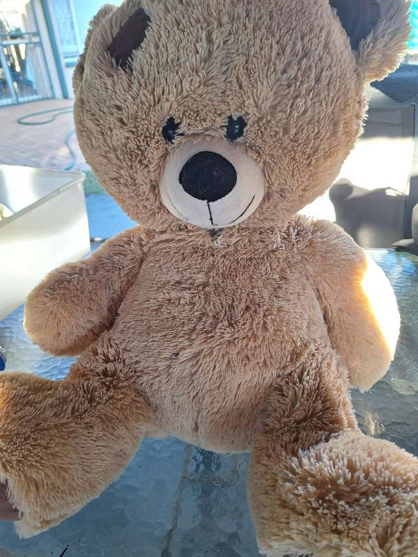 Large Teddy Bear