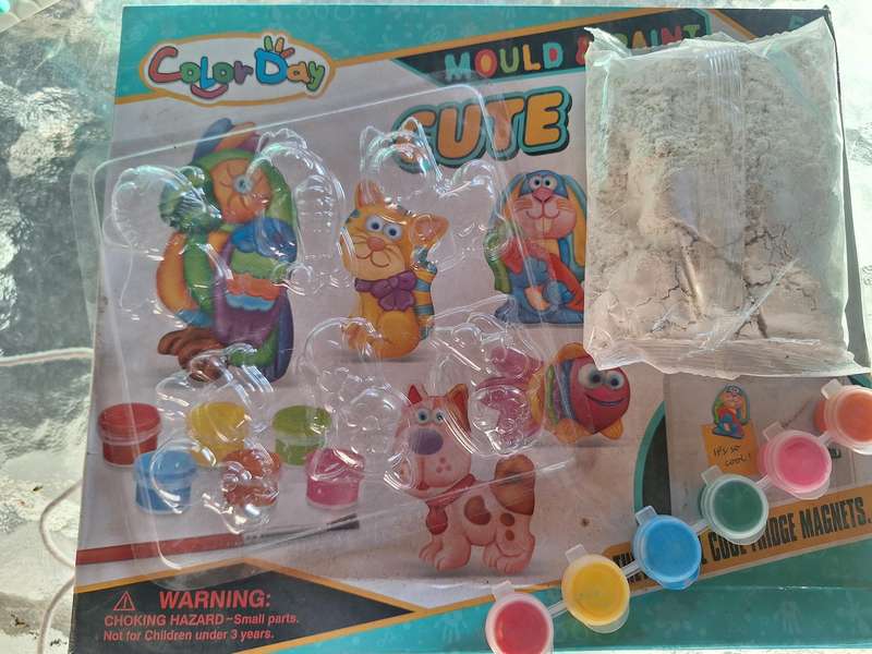 Mold and paint Craft set.