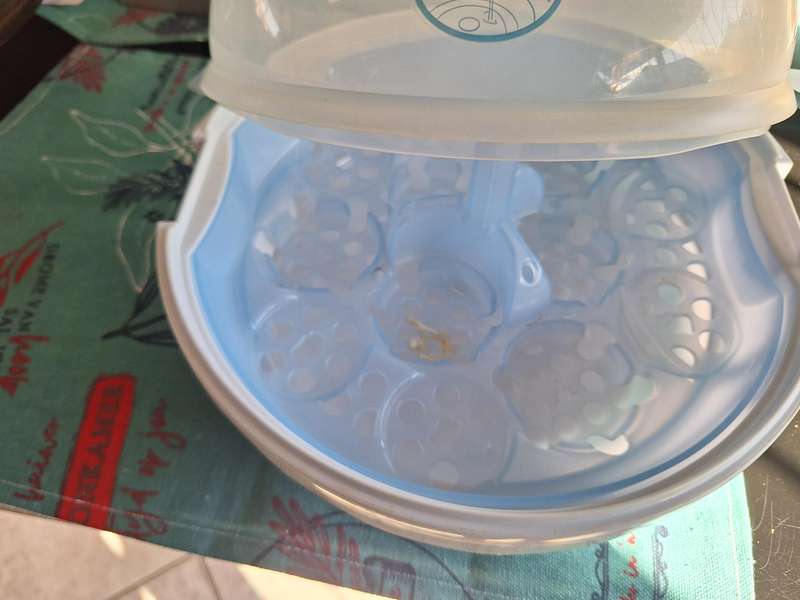 Avent Bottle Steriliser