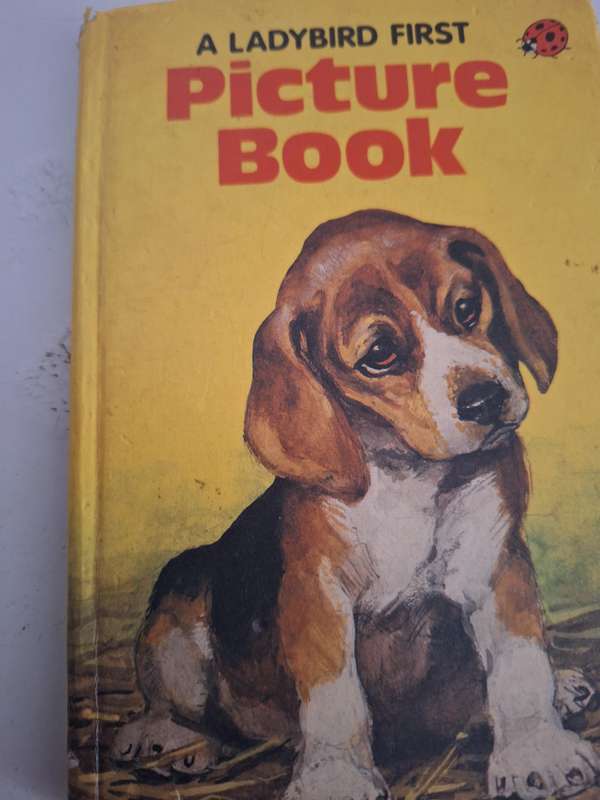 A Ladybirds first picture book