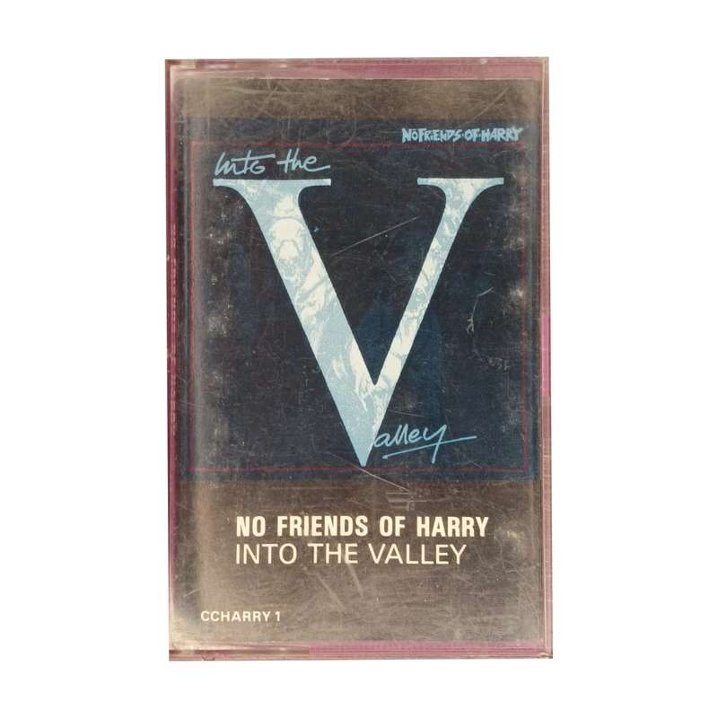 No Friends of Harry - Into the Valley Cassette