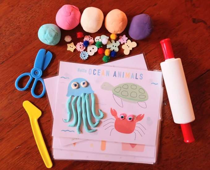 Dough Playing Activity Cards set in Container
