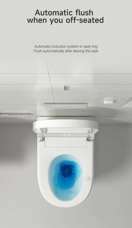 Intelligent Toilet Tankless