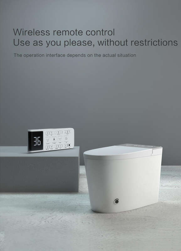 Intelligent Toilet Tankless
