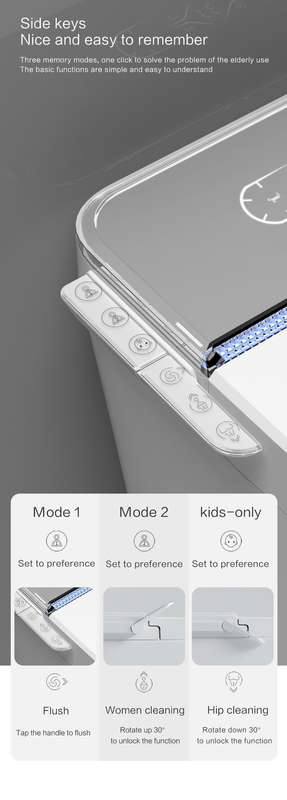 Intelligent Toilet Tankless