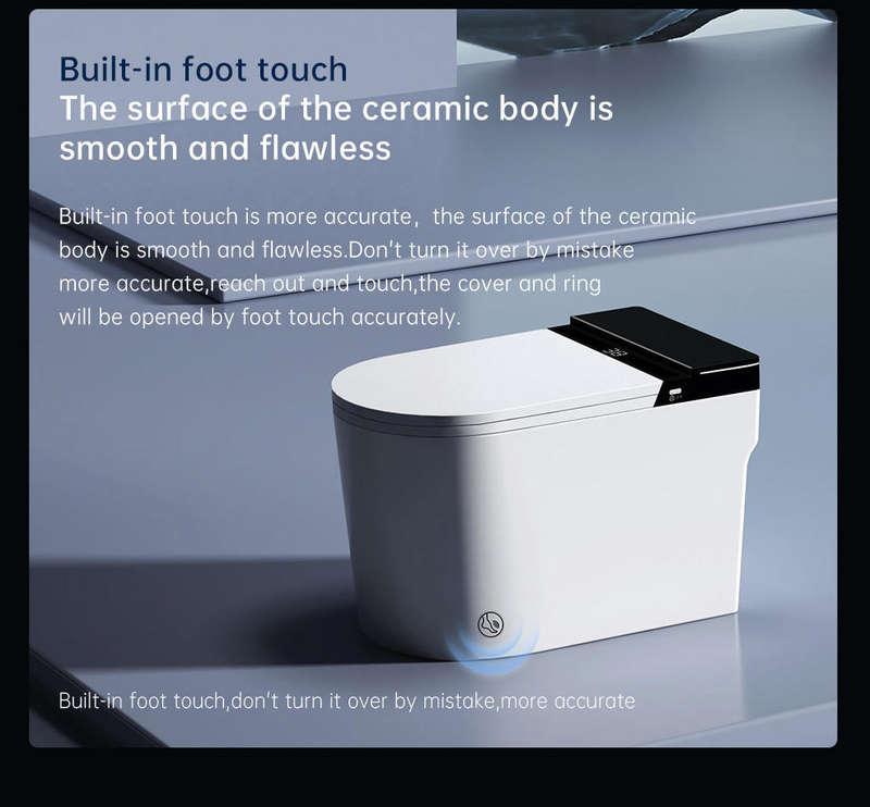 Intelligent Toilet Tankless