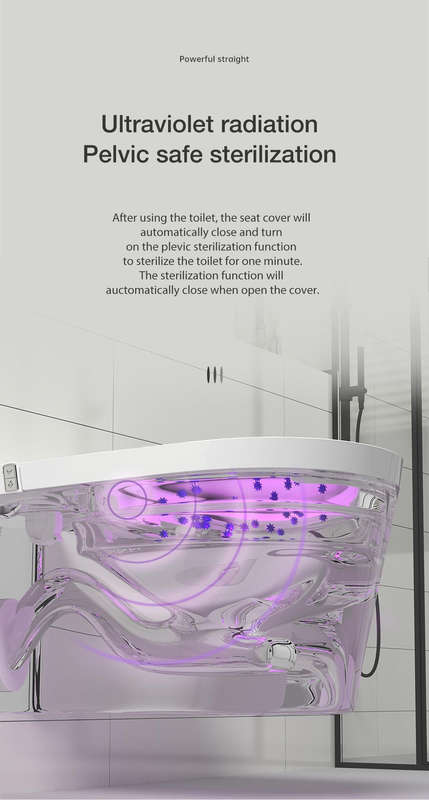 Intelligent Toilet Tankless