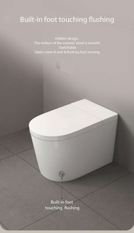 Intelligent Toilet Tankless