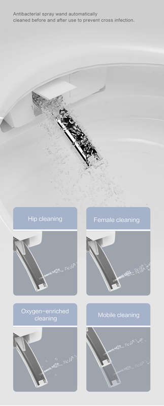 Intelligent Toilet Tankless