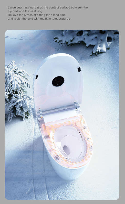 Intelligent Toilet Tankless