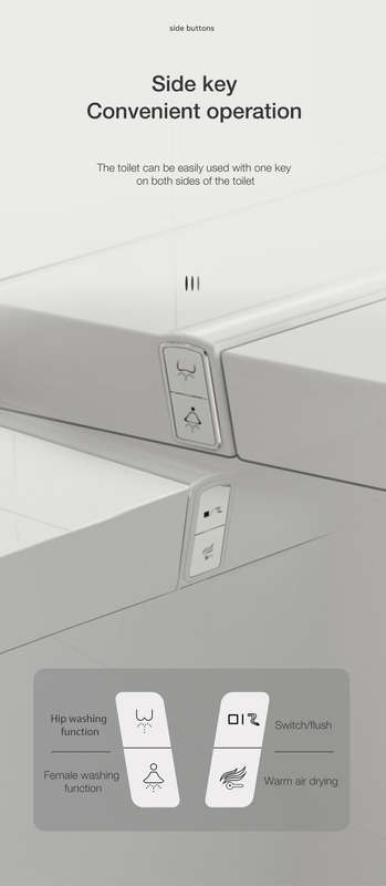 Intelligent Toilet Tankless