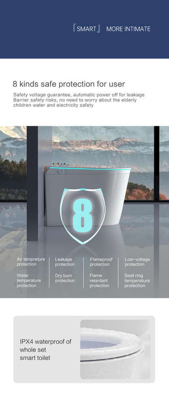 Intelligent Toilet Tankless