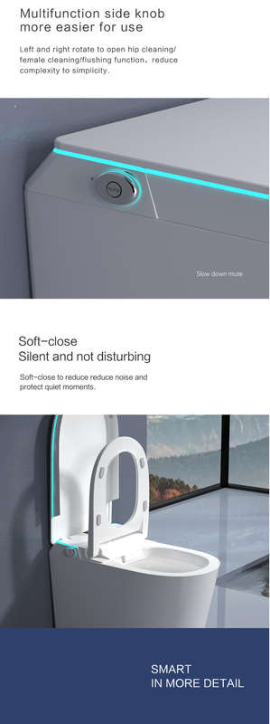 Intelligent Toilet Tankless