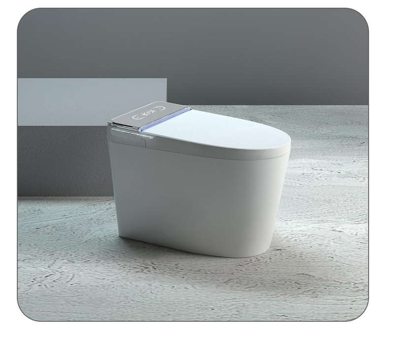 Intelligent Toilet Tankless