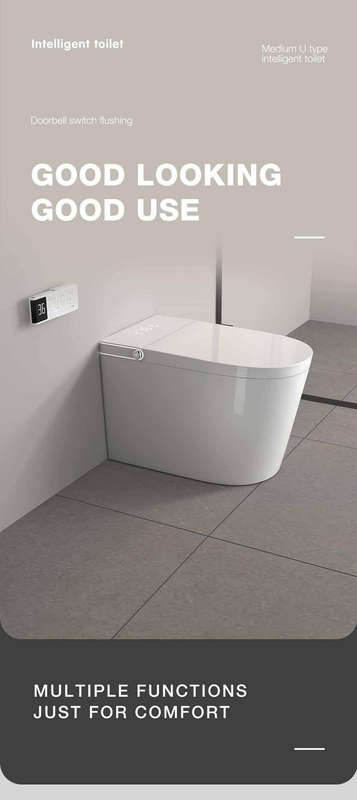 Intelligent Toilet Tankless