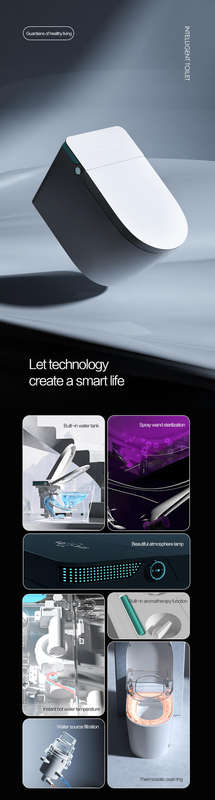 Intelligent Toilet Tankless