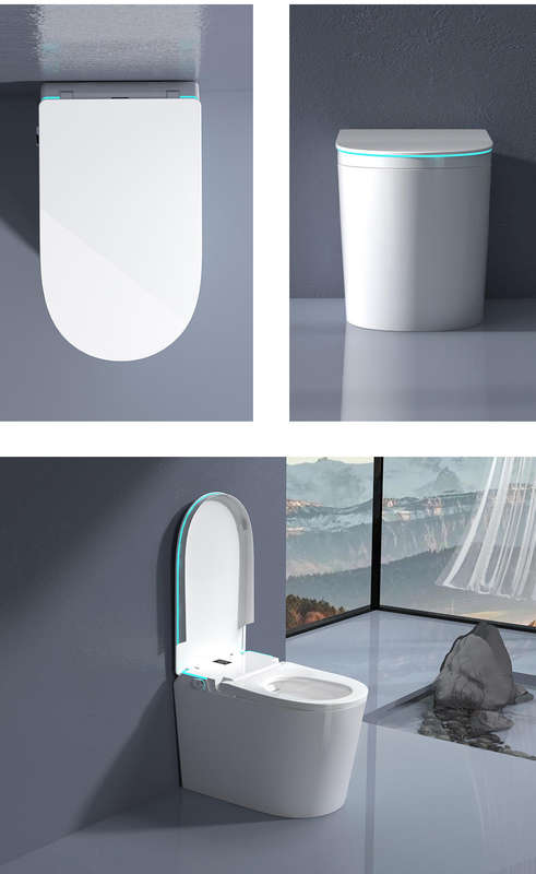 Intelligent Toilet Tankless