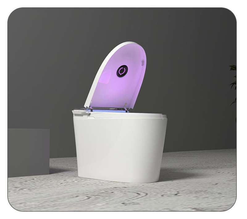 Intelligent Toilet Tankless