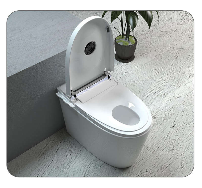 Intelligent Toilet Tankless