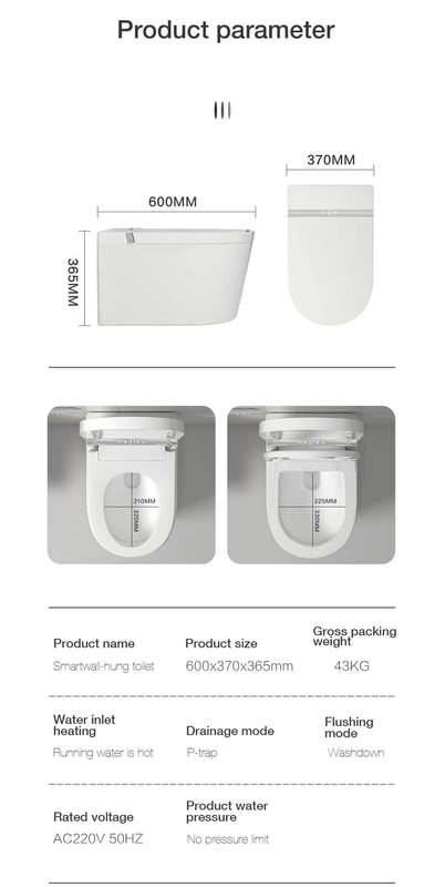 Intelligent Toilet Tankless