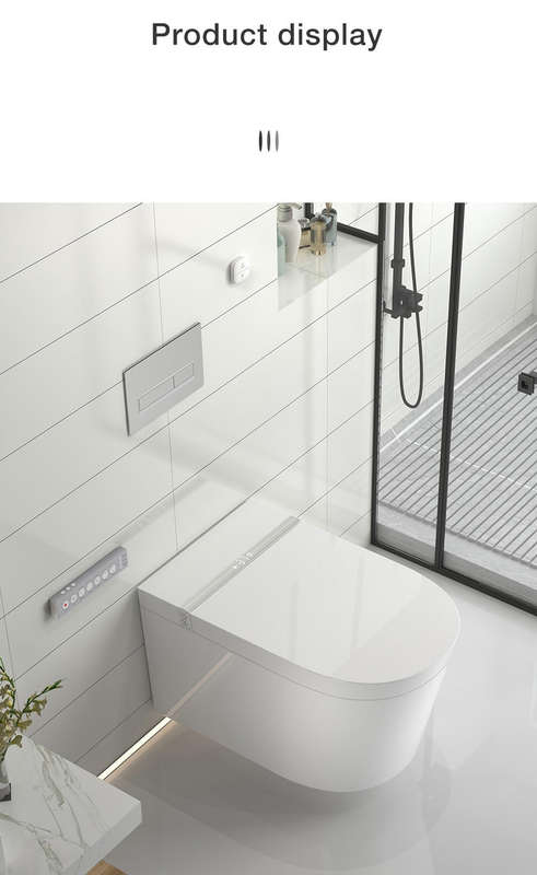 Intelligent Toilet Tankless