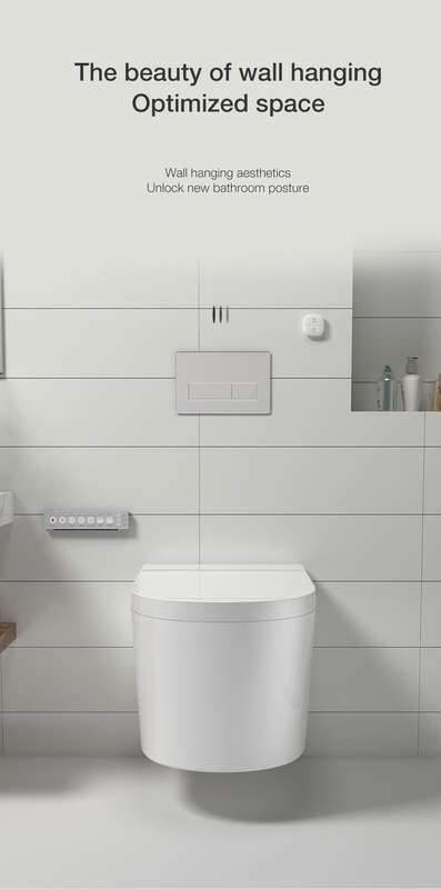 Intelligent Toilet Tankless