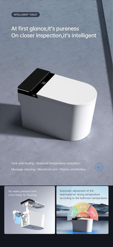Intelligent Toilet Tankless