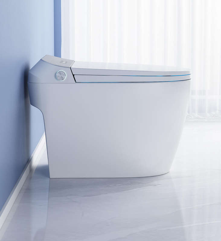 Intelligent Toilet Tankless