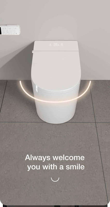 Intelligent Toilet Tankless