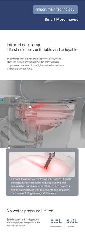 Intelligent Toilet Tankless