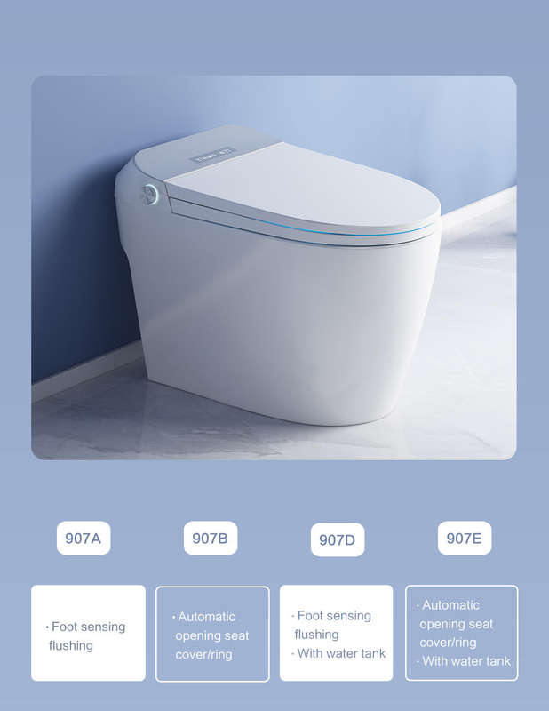 Intelligent Toilet Tankless