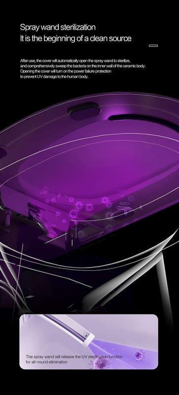 Intelligent Toilet Tankless
