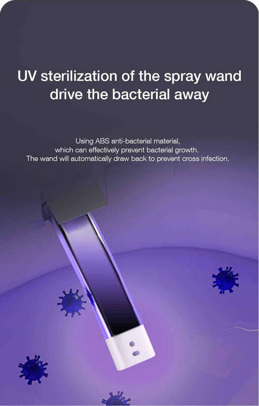 Intelligent Toilet Tankless