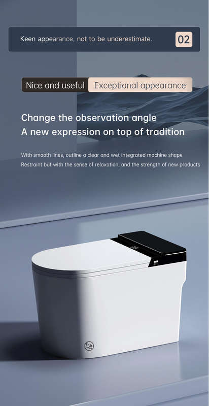 Intelligent Toilet Tankless