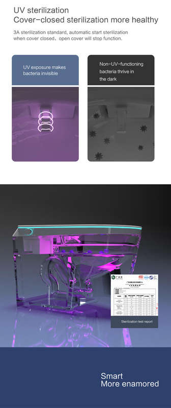 Intelligent Toilet Tankless