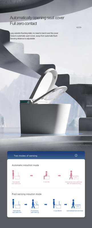 Intelligent Toilet Tankless