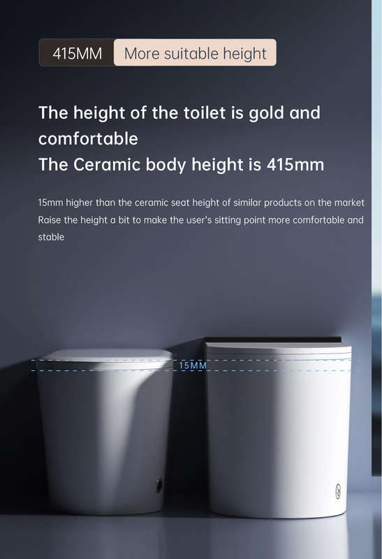 Intelligent Toilet Tankless