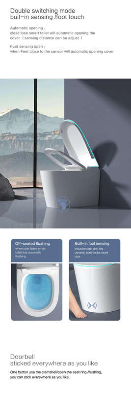 Intelligent Toilet Tankless