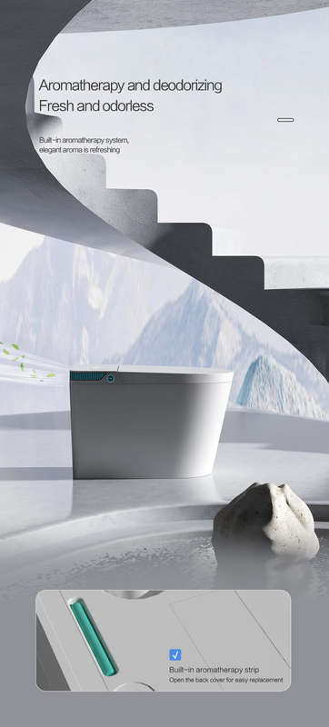 Intelligent Toilet Tankless