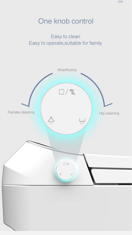 Intelligent Toilet Tankless